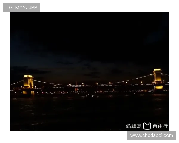 王勤伯笔下布达佩斯夜空展翼